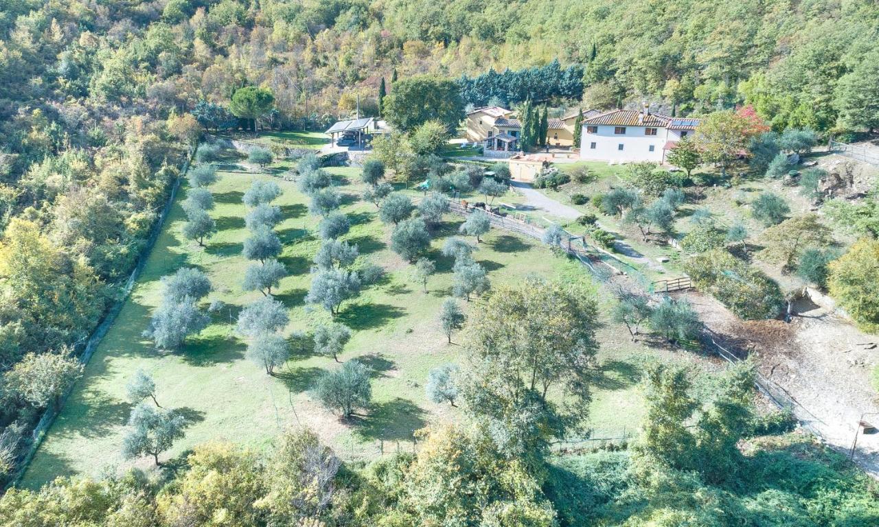 Casignano Bed & Breakfast Bagno A Ripoli Exterior photo